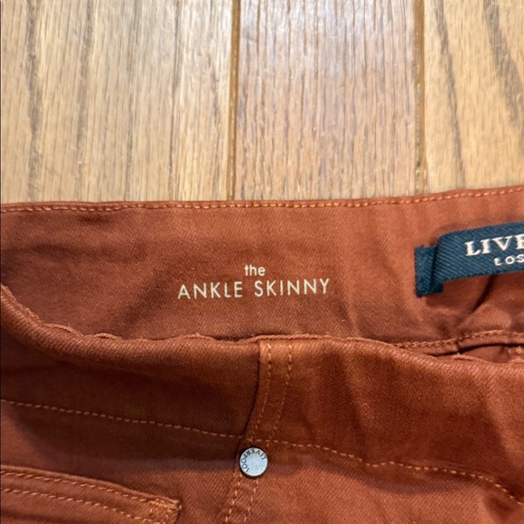 Liverpool Women's Skinny Jeans in Rust - Picture 3 of 6